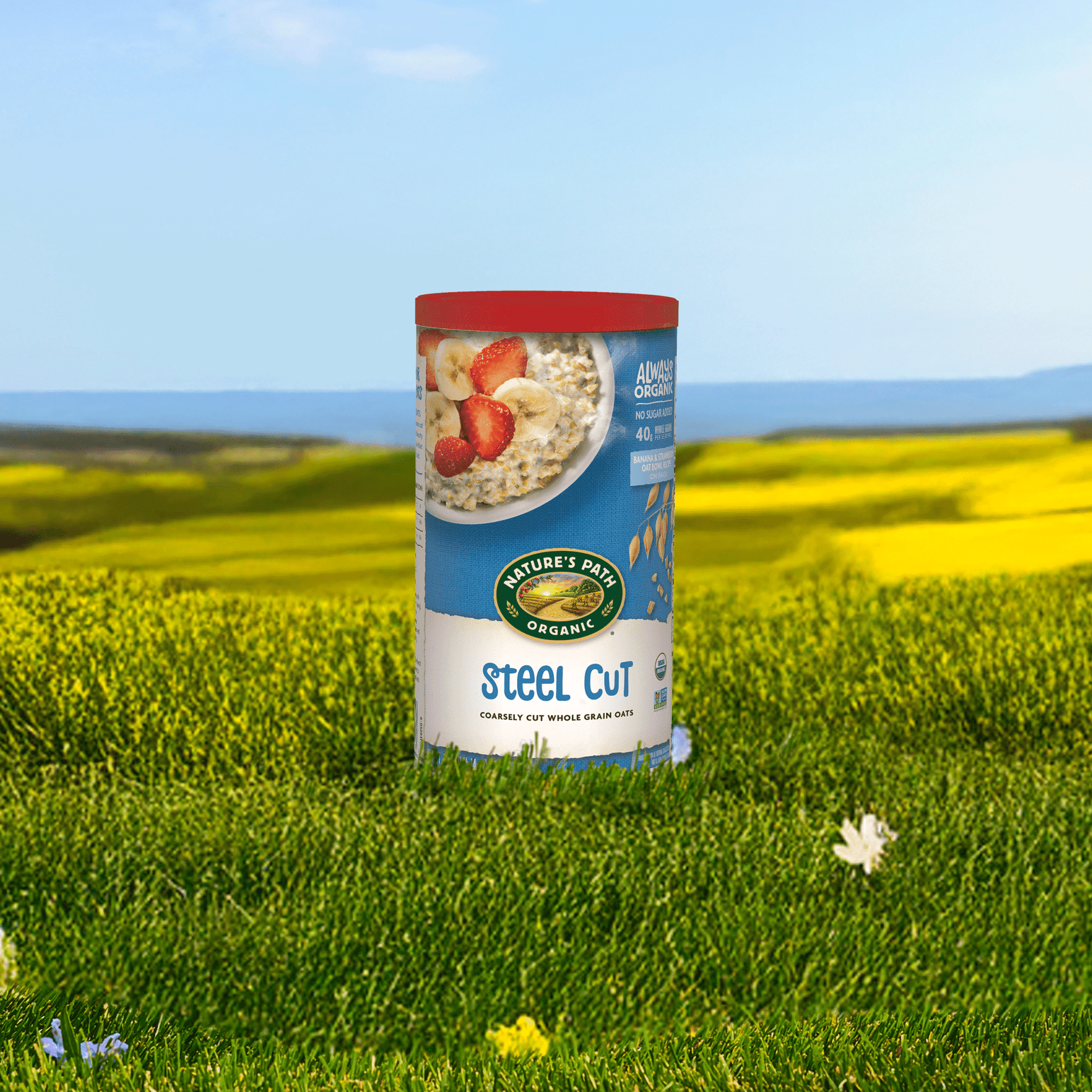 Steel Cut Oats Oatmeal