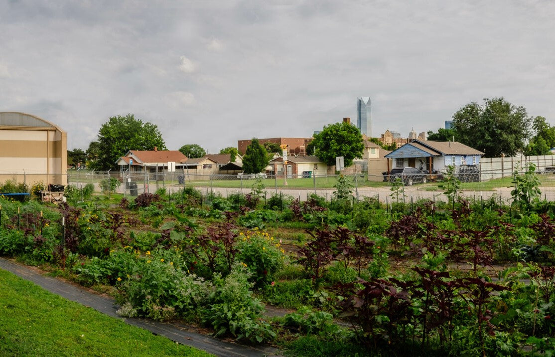 Skyline Urban Ministry Garden