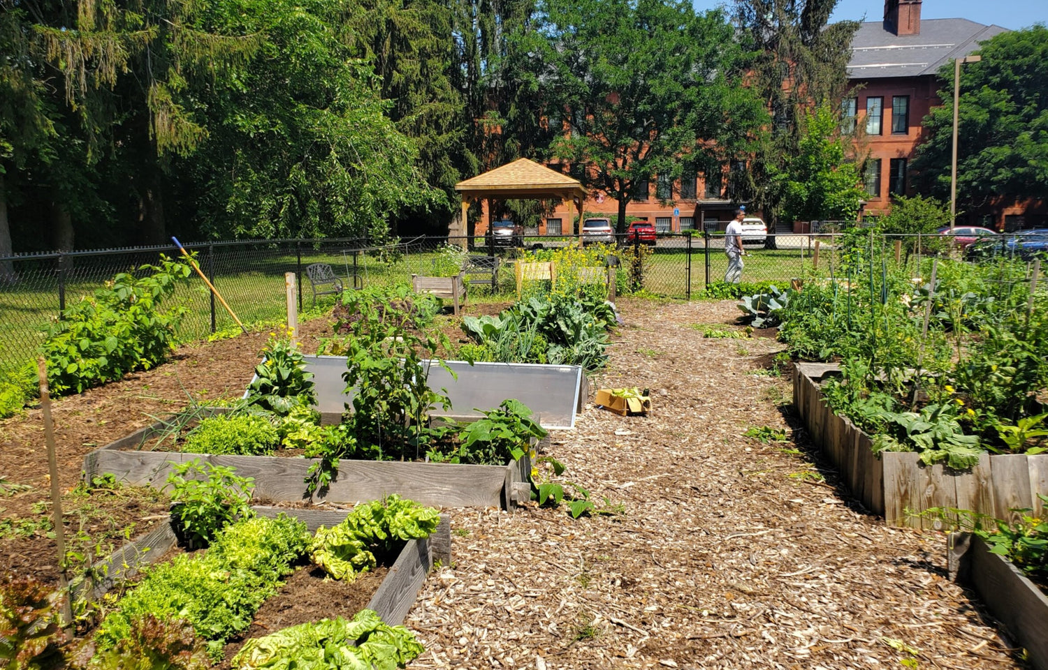 Tapley Court Community Garden