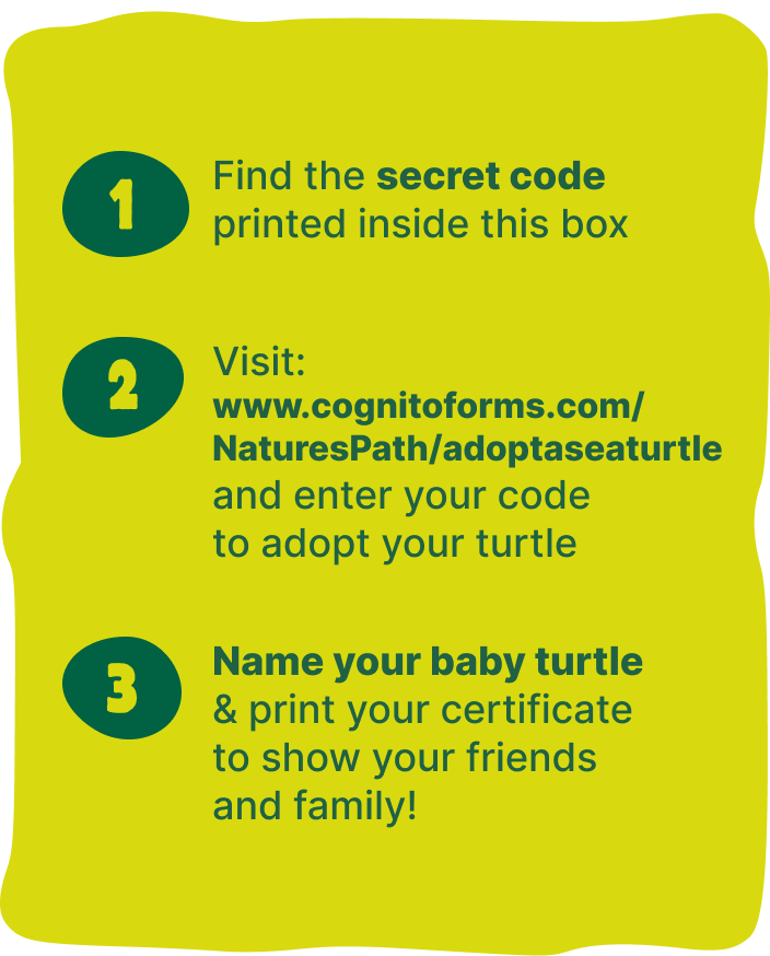 Adopt a Turtle